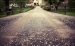 The Road Ahead