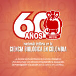 60 años de la ACCB